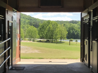 Mountain Horse Farm